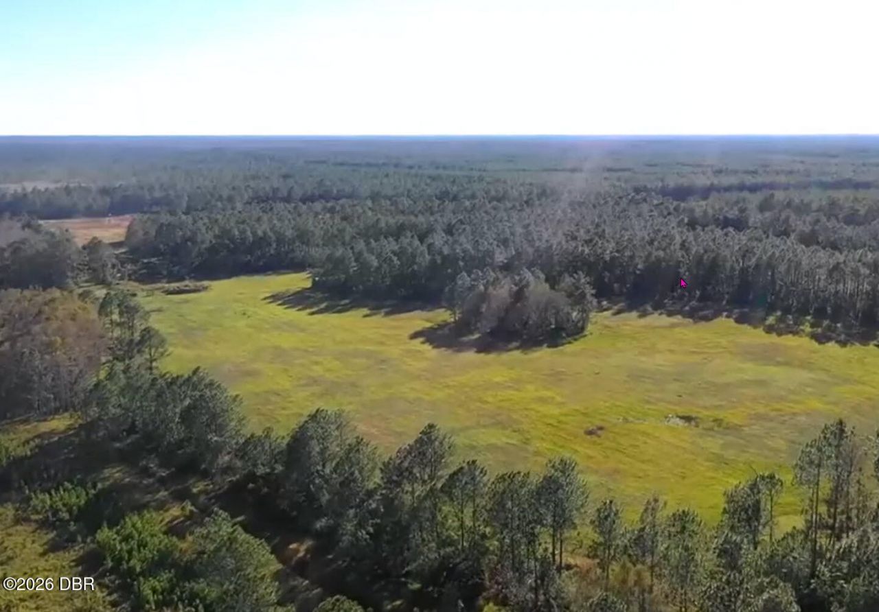0 Twin Lakes Road , Bunnell, FL 32110 Photo