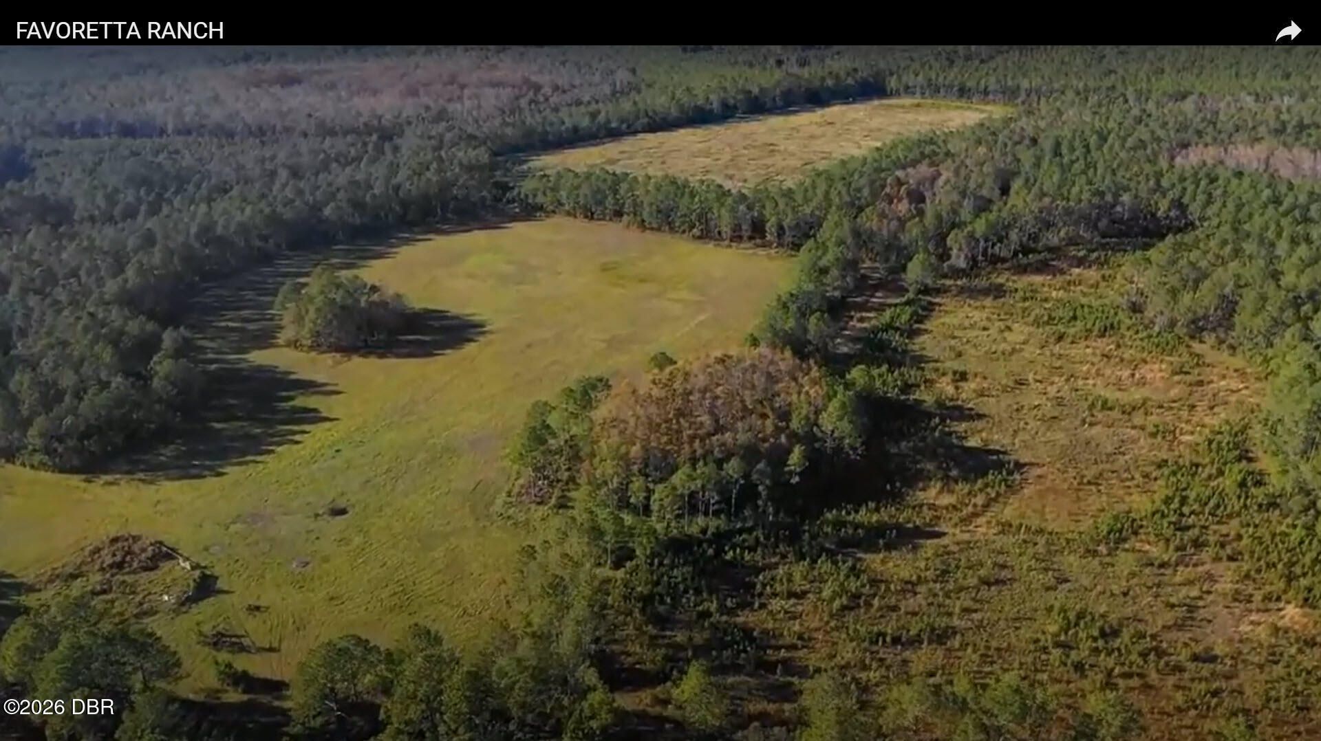 0 Twin Lakes Road , Bunnell, FL 32110 Photo