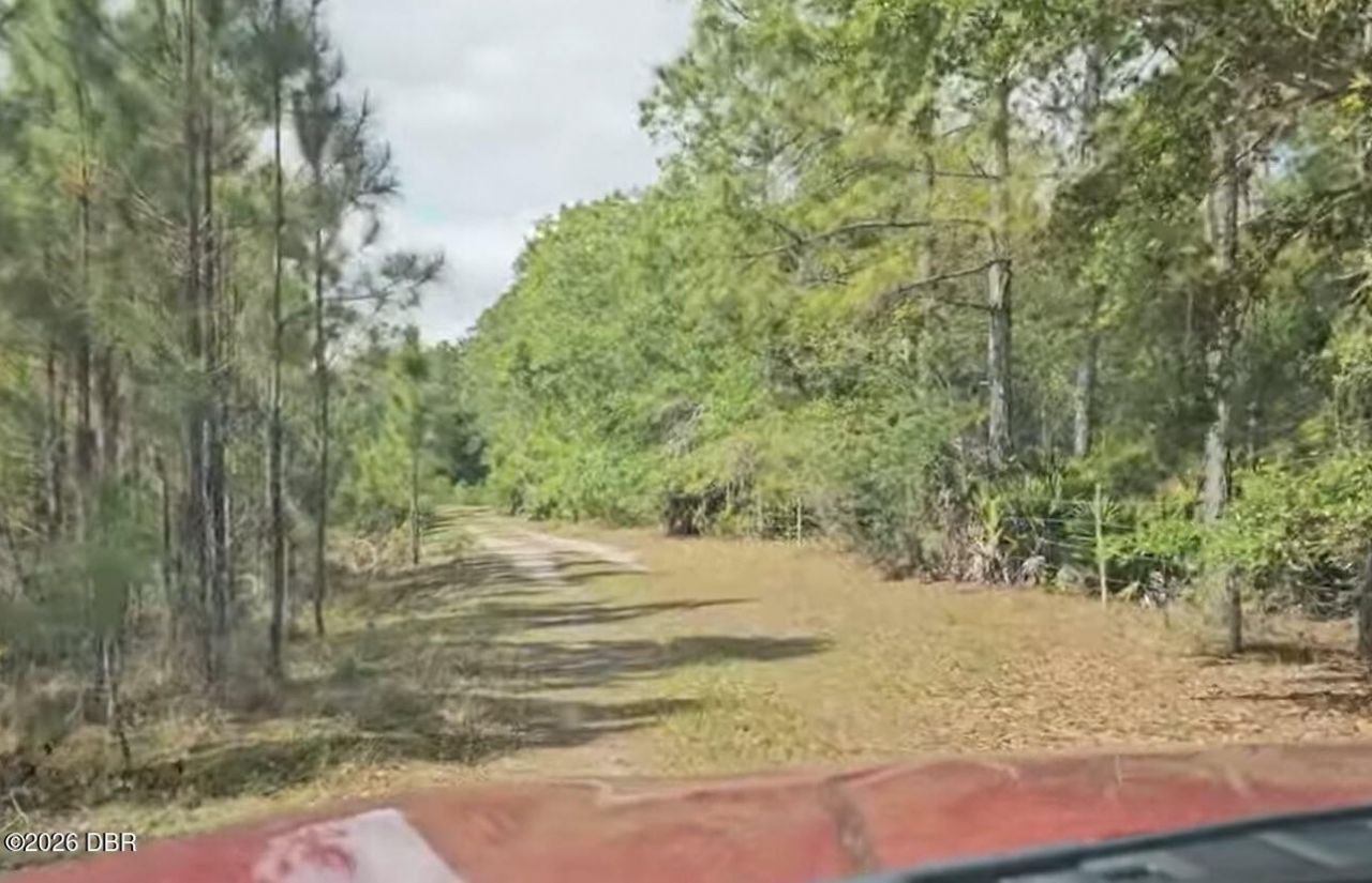 0 Twin Lakes Road , Bunnell, FL 32110 Photo
