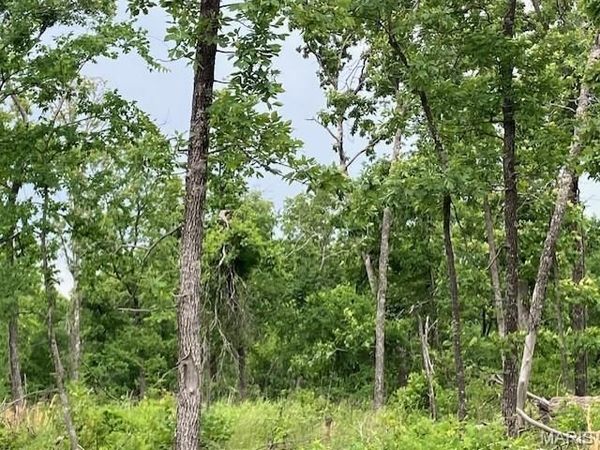 44 Madison CR 410 , Fredericktown, MO 63645