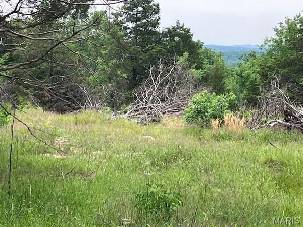 43 Madison CR 410 , Fredericktown, MO 63645