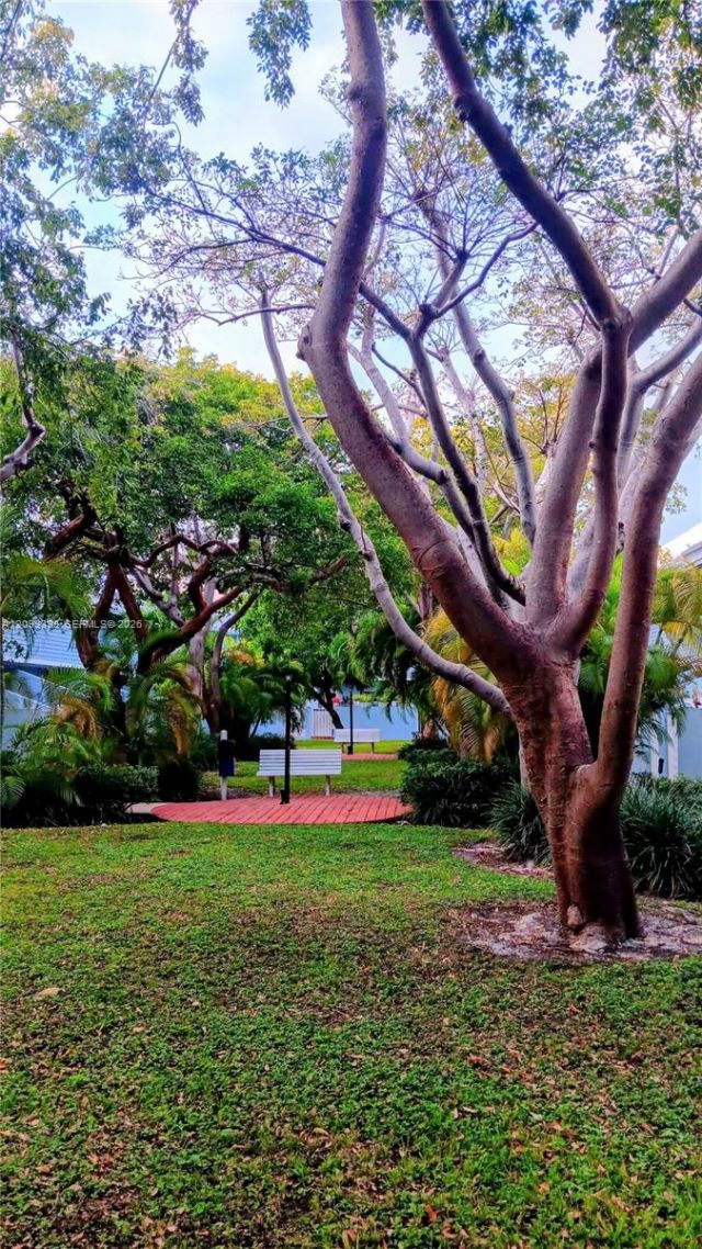 798 Crandon Blvd , Unit 55-B, Key Biscayne, FL 33149 Photo