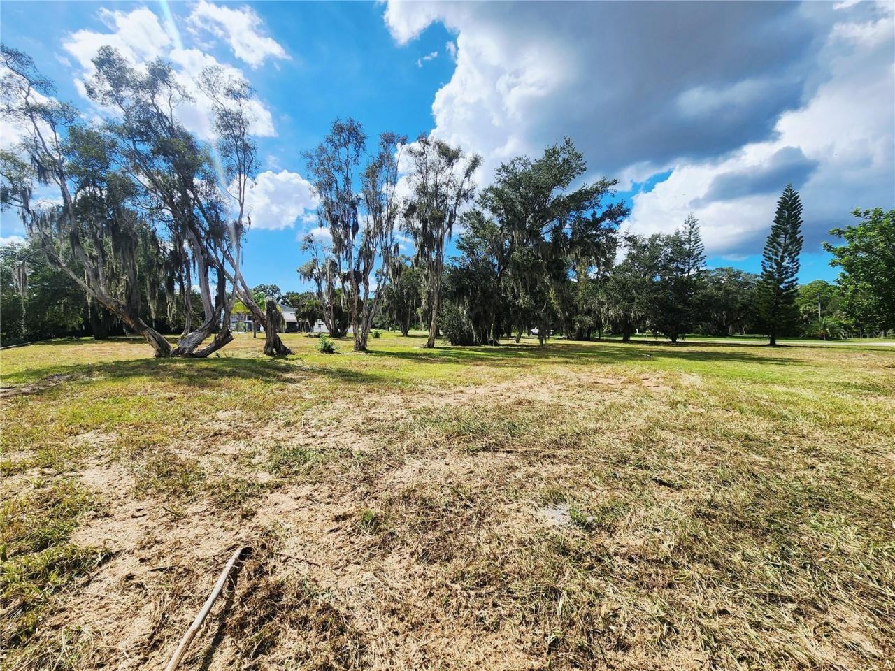 3825 Shore Boulevard, Oldsmar, FL 34677 Photo