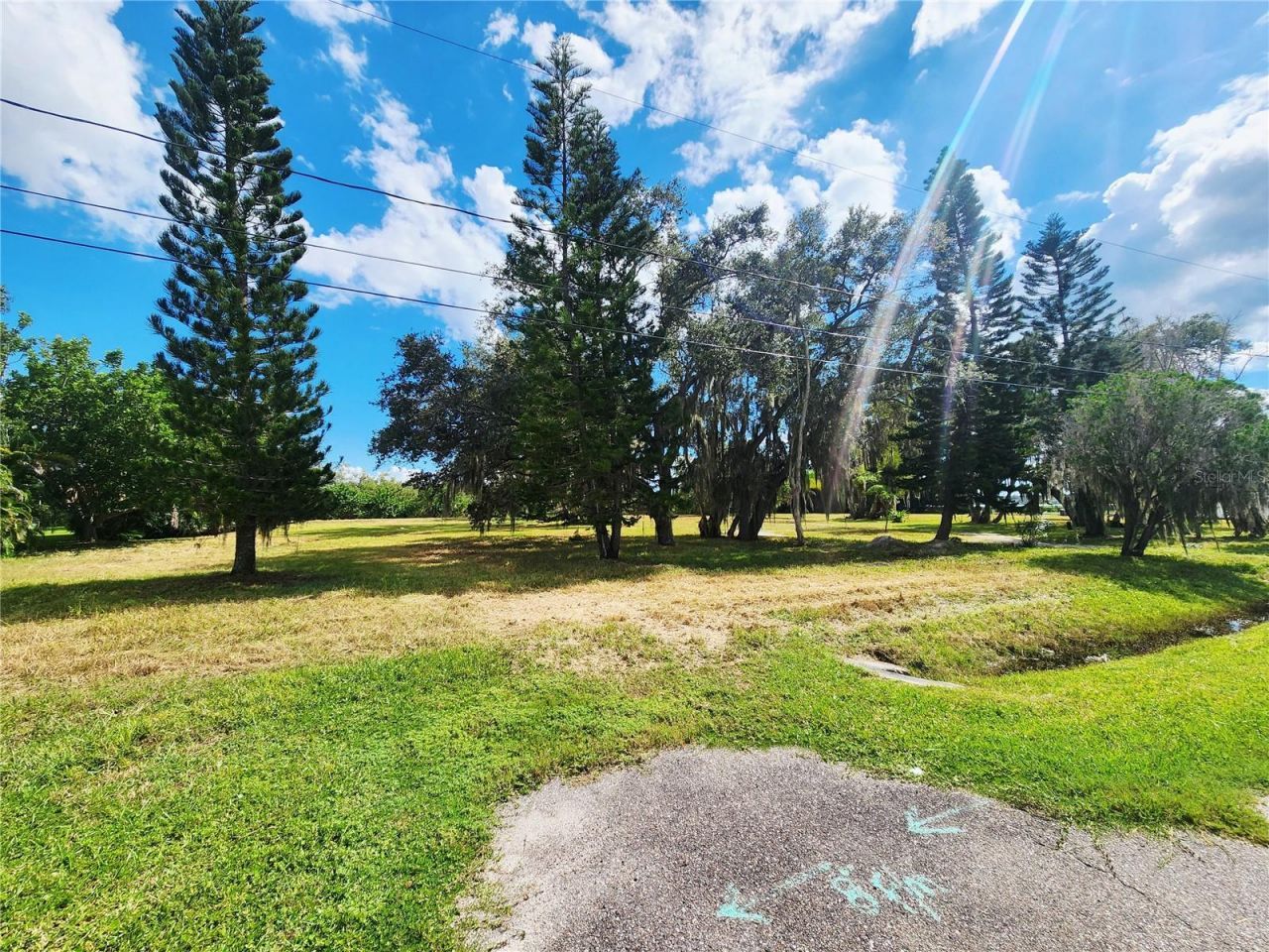 3825 Shore Boulevard, Oldsmar, FL 34677 Photo