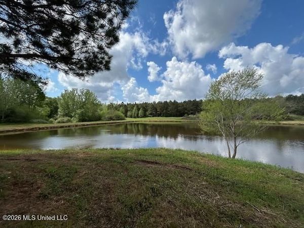 Mississippi 583, Tylertown, MS 39667