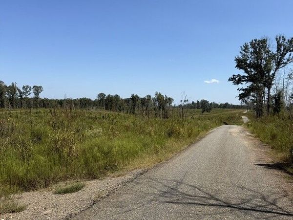 76 +/- ACRES ON Gibson Road, Talbotton, GA 31827