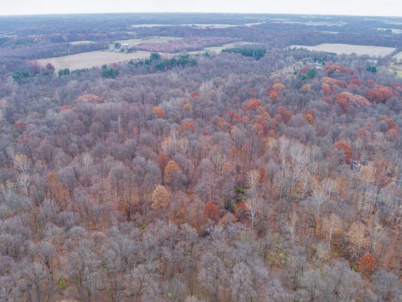 6336 County Road 76 , Mount Gilead, OH 43338 Photo 4