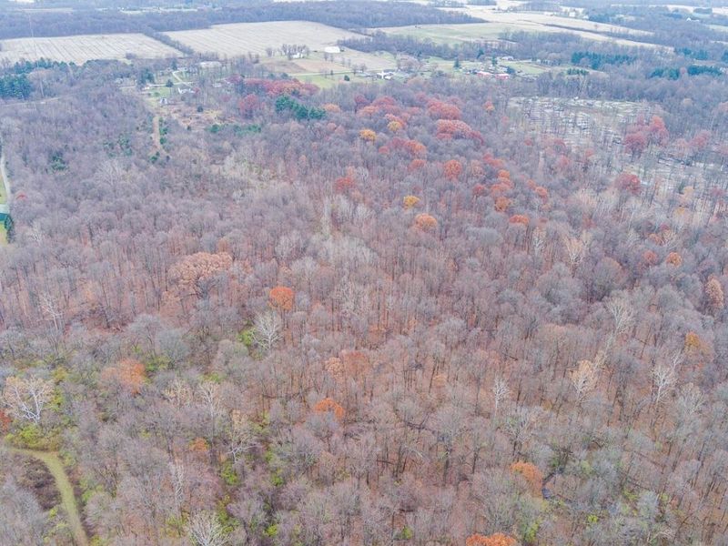 6336 County Road 76 , Mount Gilead, OH 43338 Photo 7