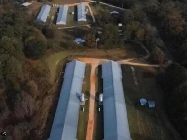 10887 Ms-18, Magee, MS 39111