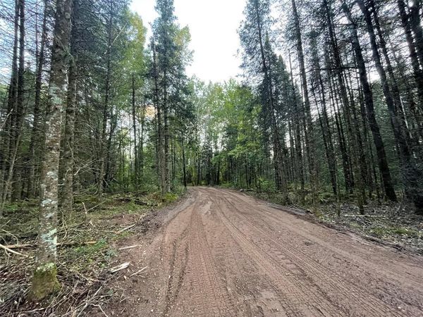 Lot 3 Fadness Road, Winter, WI 54896