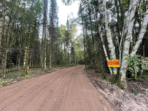 Lot 3 Fadness Road, Winter, WI 54896