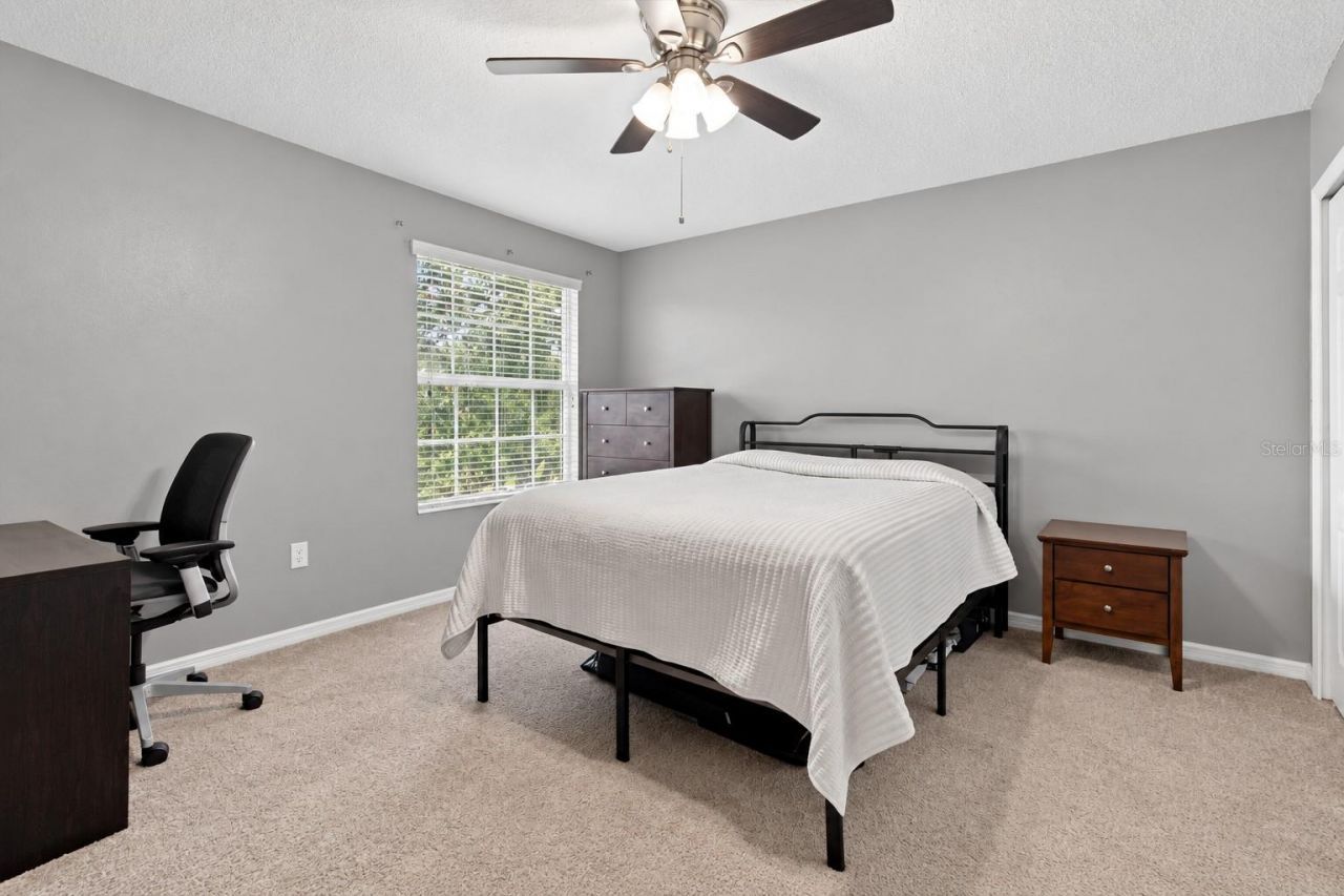 5842 Rutherford Road , Mount Dora, FL 32757 Photo