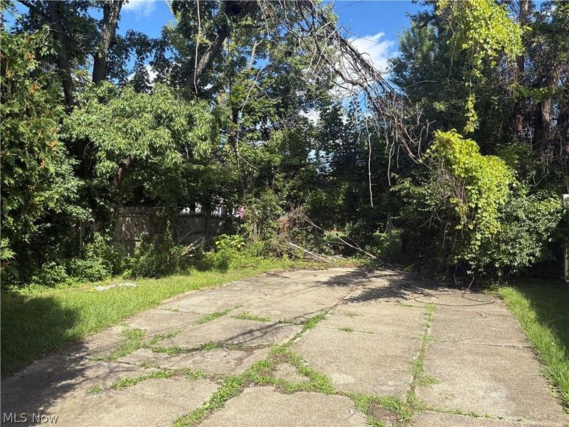 12501 Dove Avenue, Cleveland, OH 44105 Photo 6
