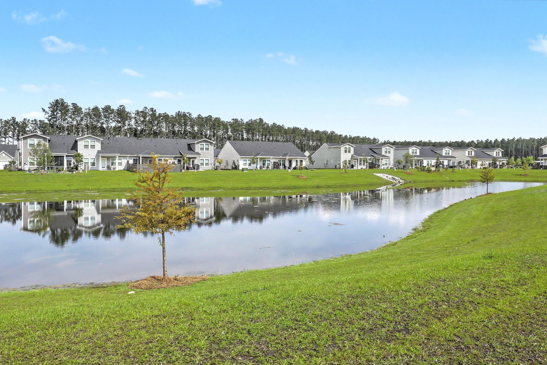 941 Dusk Drive Photo 30