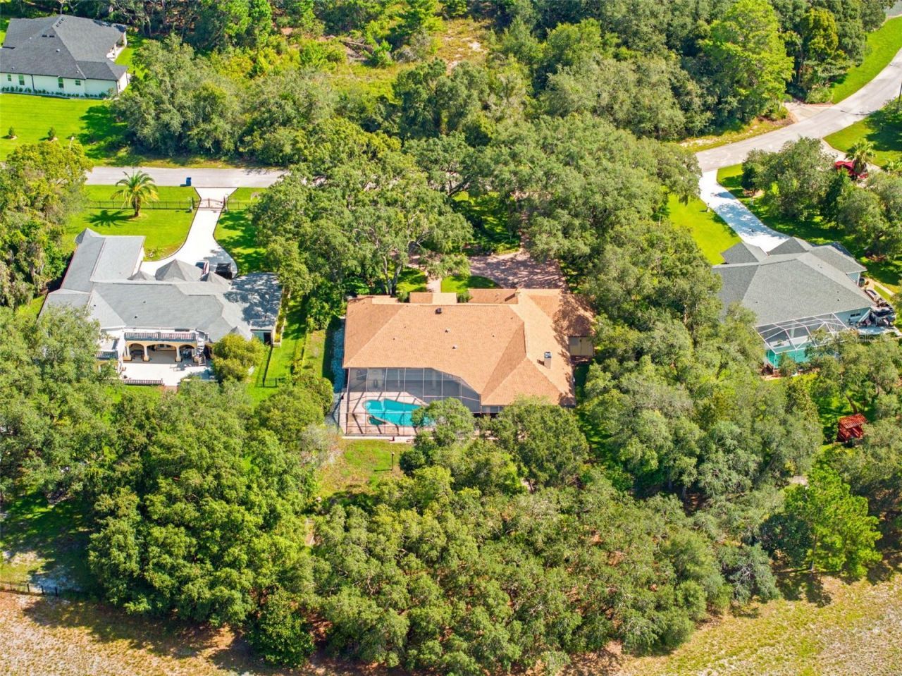 10430 Ramble Ridge Court, Weeki Wachee, FL 34613 Photo