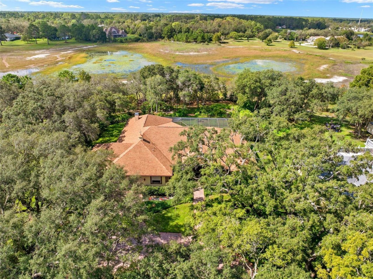 10430 Ramble Ridge Court, Weeki Wachee, FL 34613 Photo