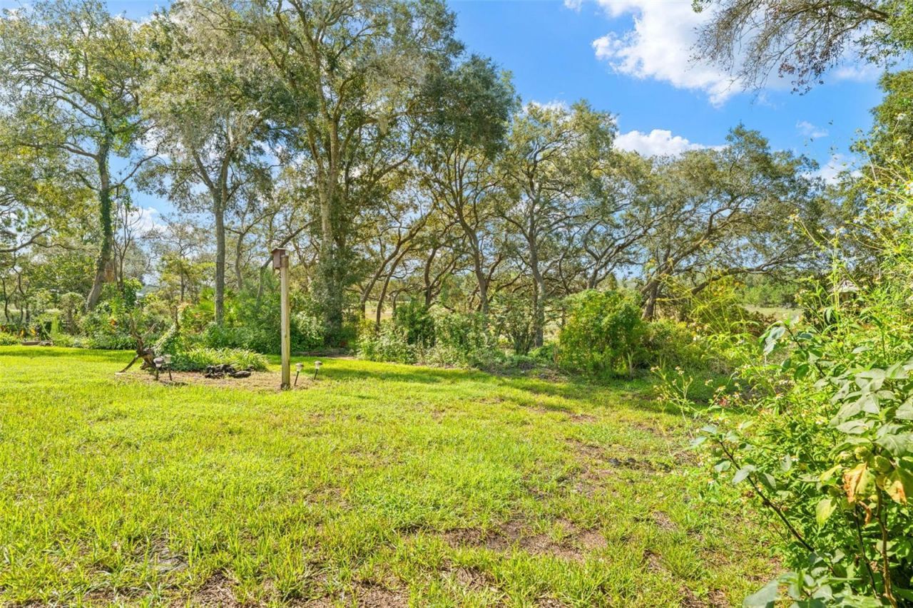10430 Ramble Ridge Court, Weeki Wachee, FL 34613 Photo