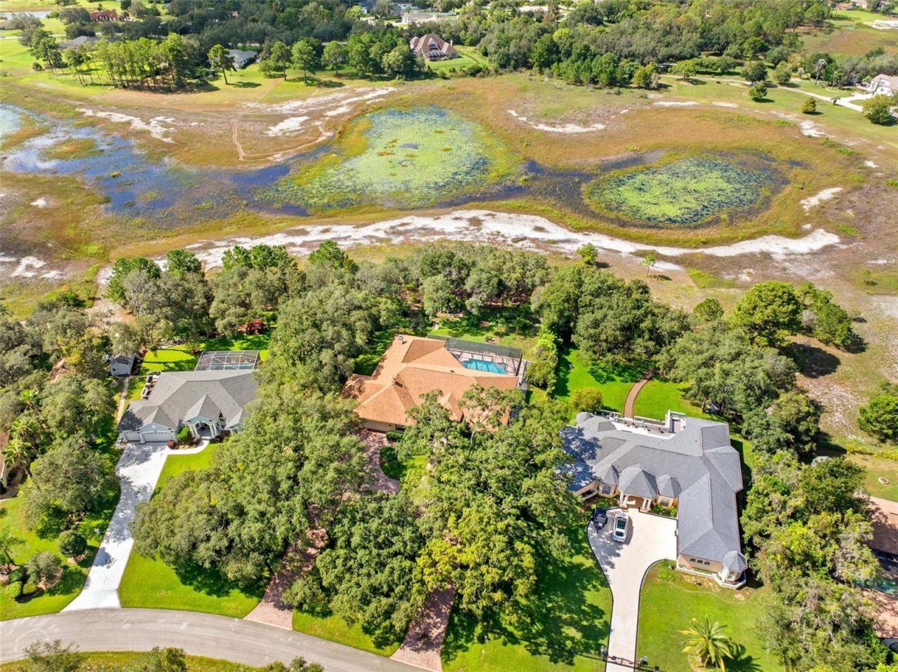 10430 Ramble Ridge Court, Weeki Wachee, FL 34613 Photo