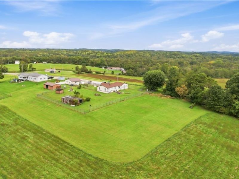 2251 County Road 25, Bloomingdale, OH 43910 Photo 21