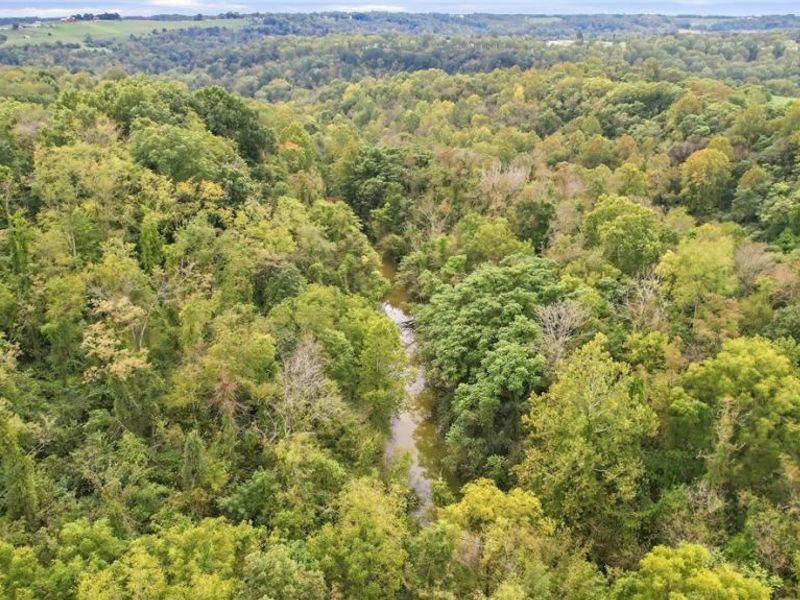 2251 County Road 25, Bloomingdale, OH 43910 Photo 25