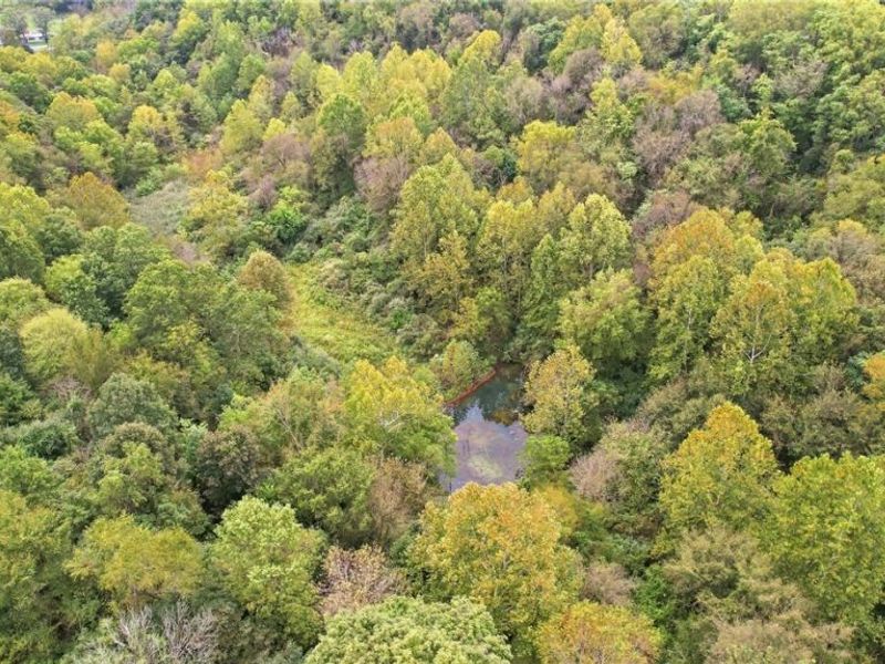 2251 County Road 25, Bloomingdale, OH 43910 Photo 26