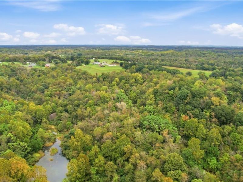 2251 County Road 25, Bloomingdale, OH 43910 Photo 28