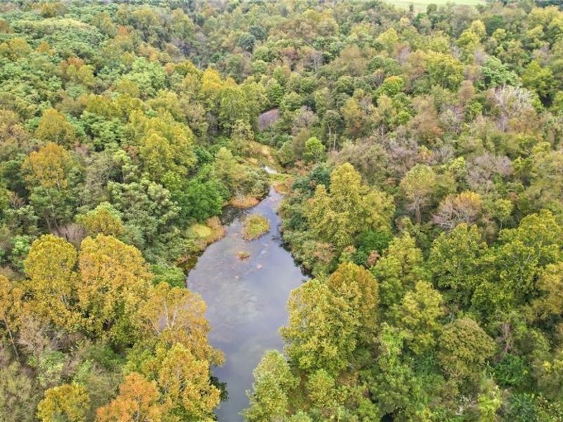 2251 County Road 25, Bloomingdale, OH 43910 Photo 29