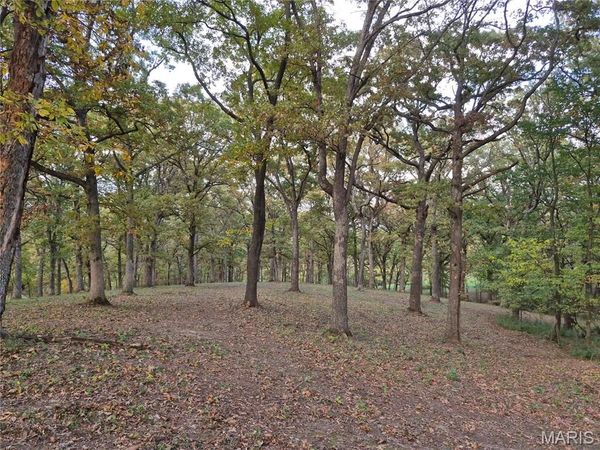 0 Highway D - Tract 5a (14+/- Acres), Eolia, MO 63344