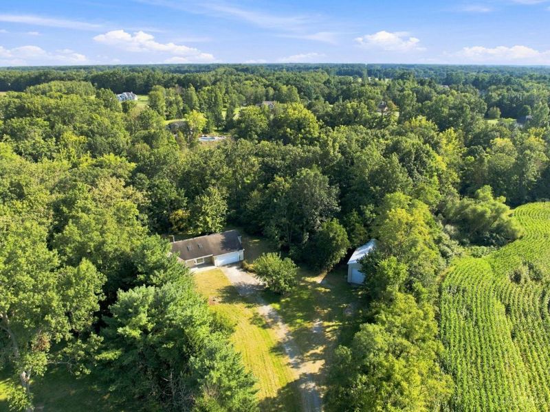 4388 Dela Palma Road, Williamsburg Township, OH 45176 Photo 89
