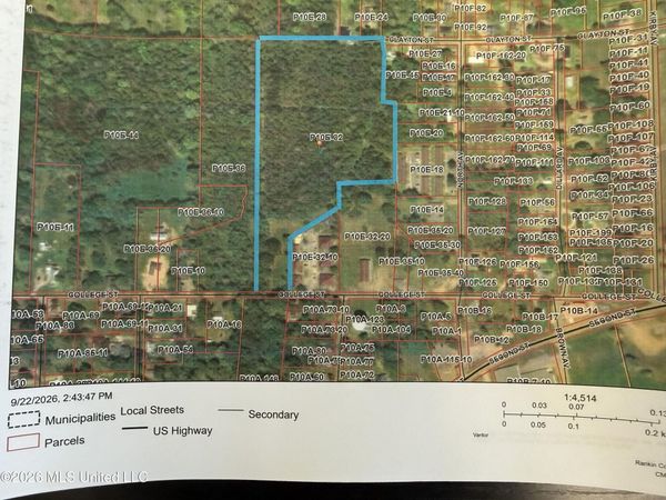 College Street, Pelahatchie, MS 39145