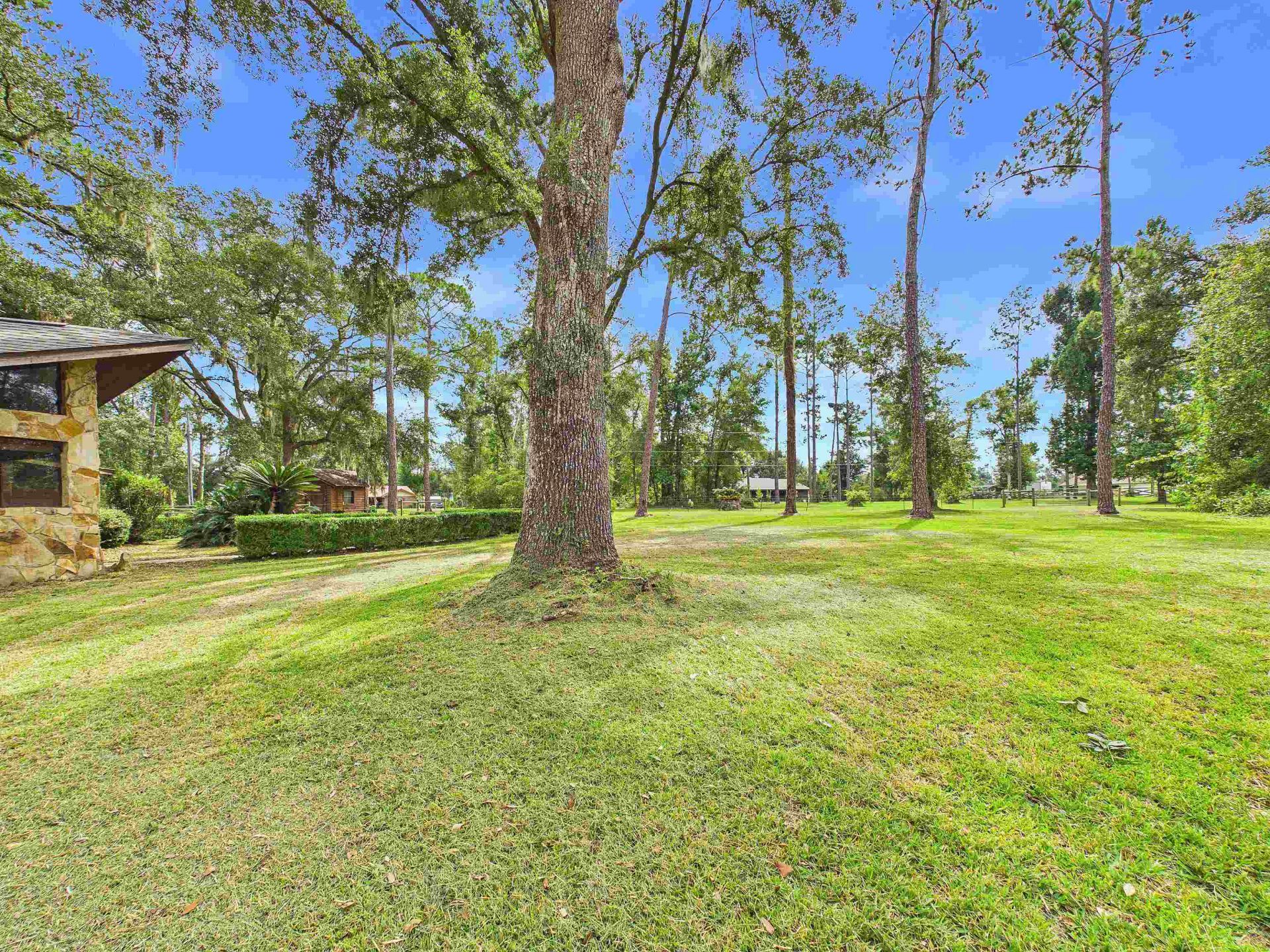 3595 Azalea Drive, Perry, FL 32347 Photo