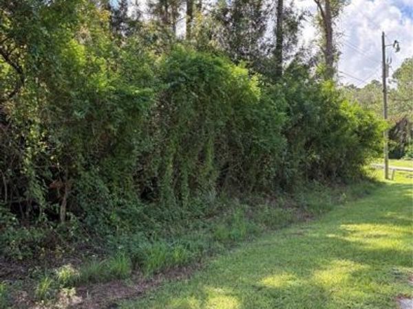 2008 Johns AVE, ALVA, FL 33920