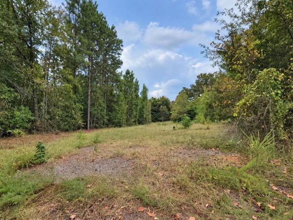 0 Ferguson Road , Harleton, TX 75651