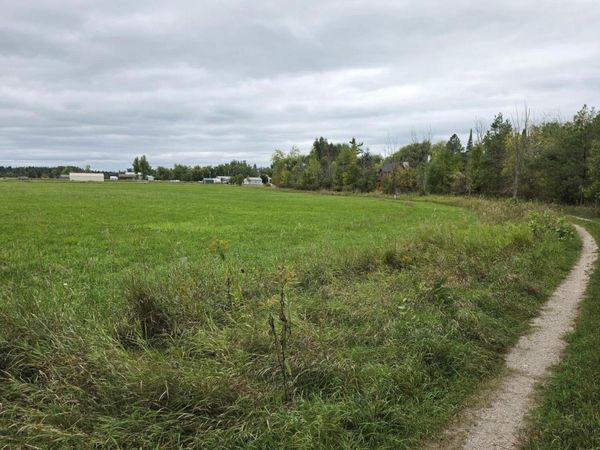 7786 Covington Drive, Cheboygan, MI 49721