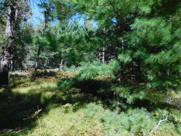 V/L 3 AC Wakeley Bridge Road, Grayling, MI 49738