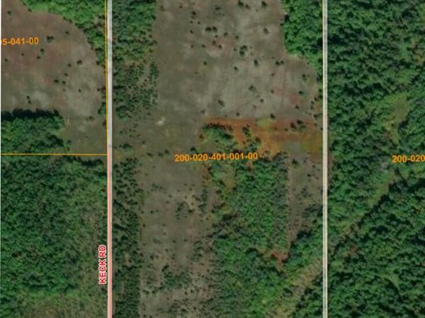 V/L 80AC Holiday Road, Wolverine, MI 49799
