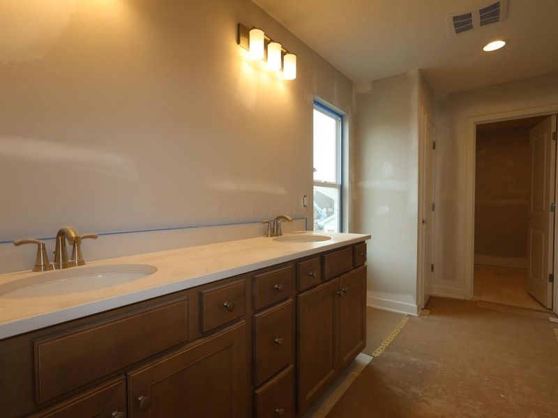 311 River Birch Drive, Galena, OH 43021 Photo 14