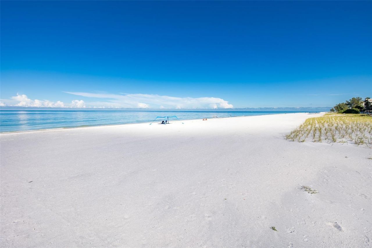 19924 Gulf Boulevard, Indian Shores, FL 33785 Photo