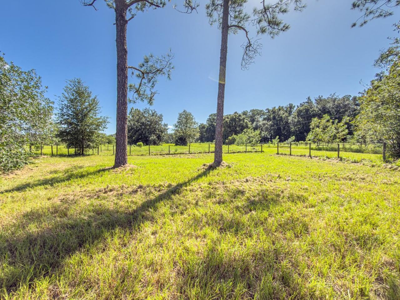 6177 County Rd 625, Bushnell, FL 33513 Photo