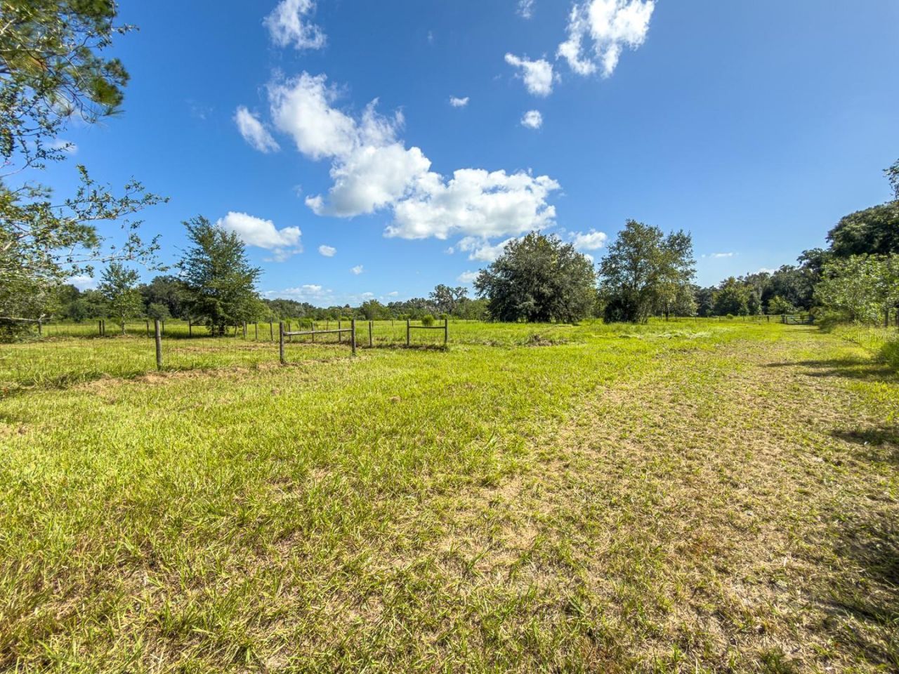 6177 County Rd 625, Bushnell, FL 33513 Photo