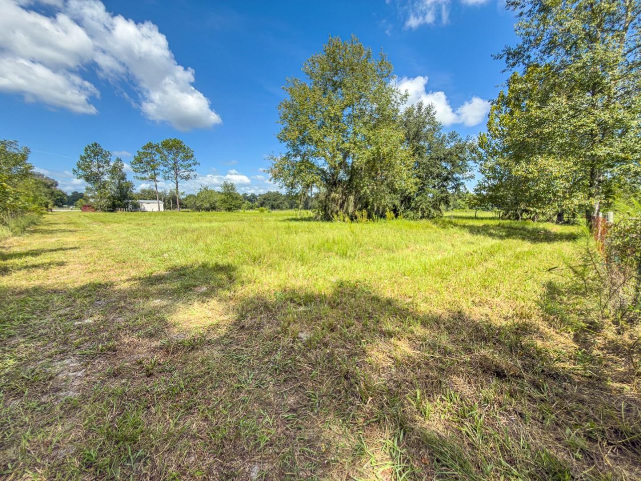 6177 County Rd 625, Bushnell, FL 33513 Photo