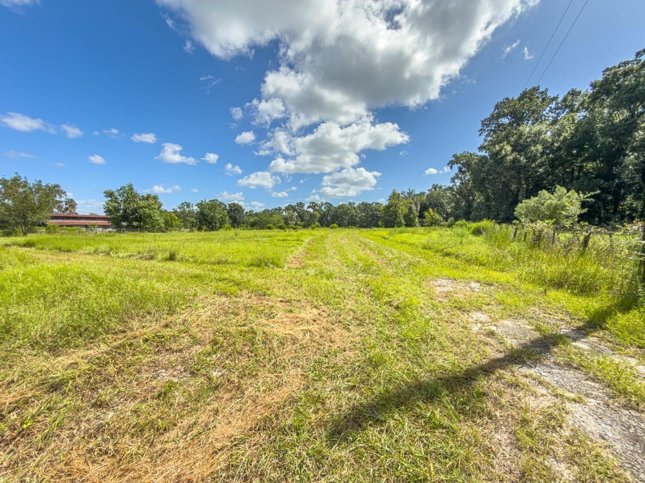 6177 County Rd 625, Bushnell, FL 33513 Photo