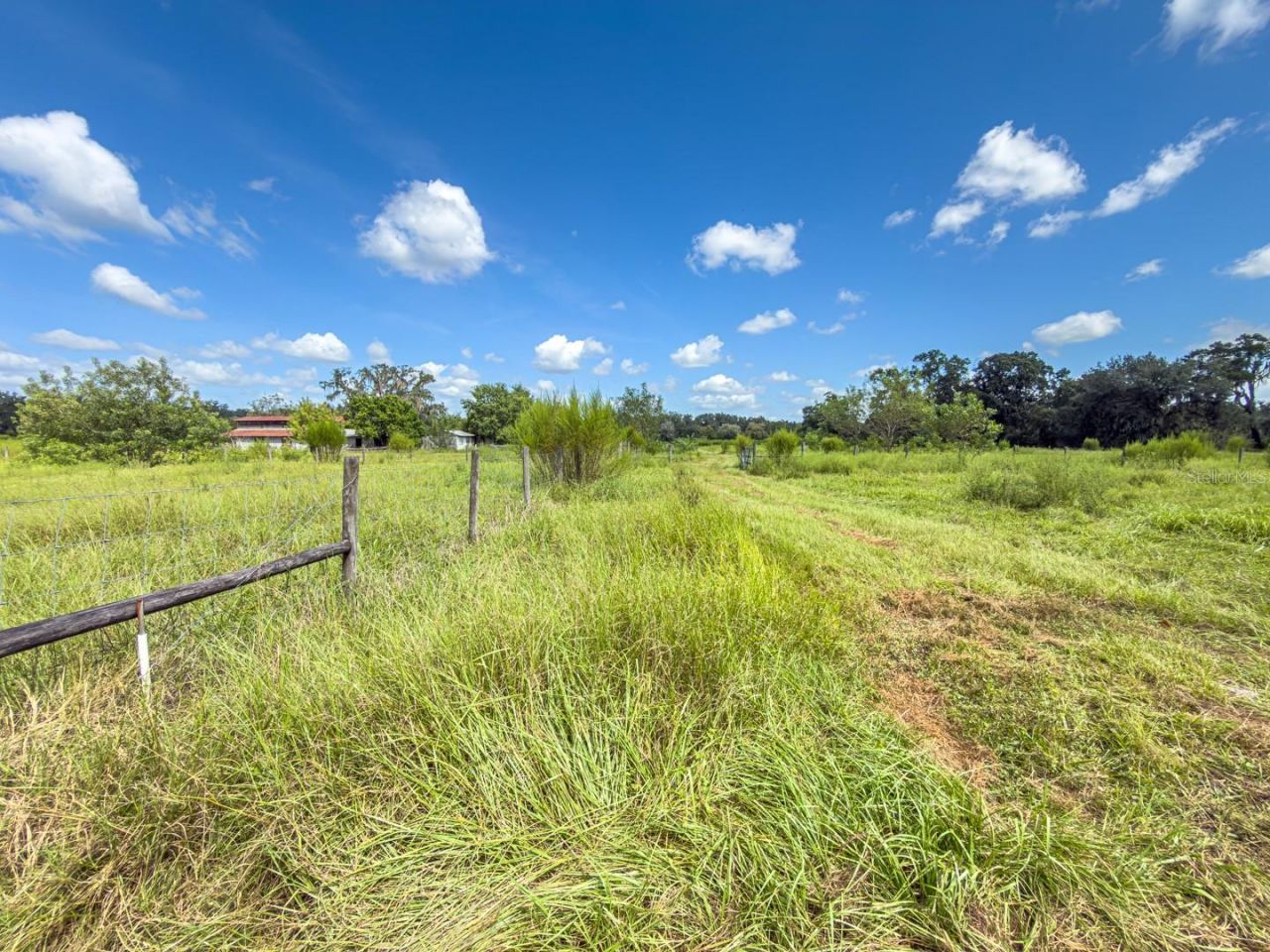 6177 County Rd 625, Bushnell, FL 33513 Photo