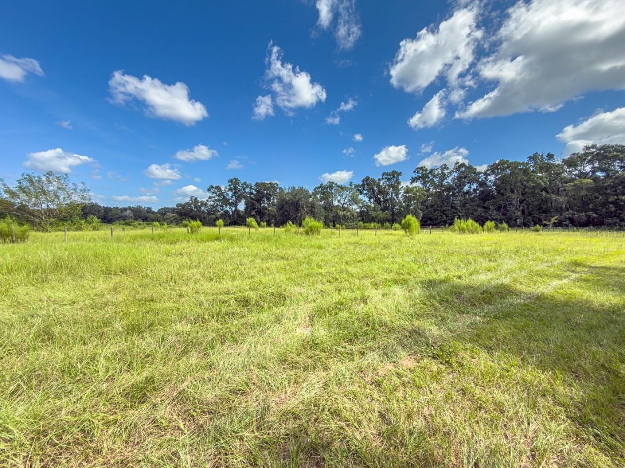 6177 County Rd 625, Bushnell, FL 33513 Photo