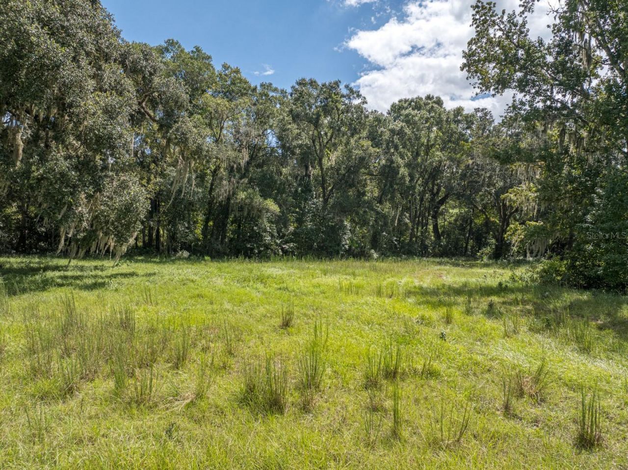 6177 County Rd 625, Bushnell, FL 33513 Photo