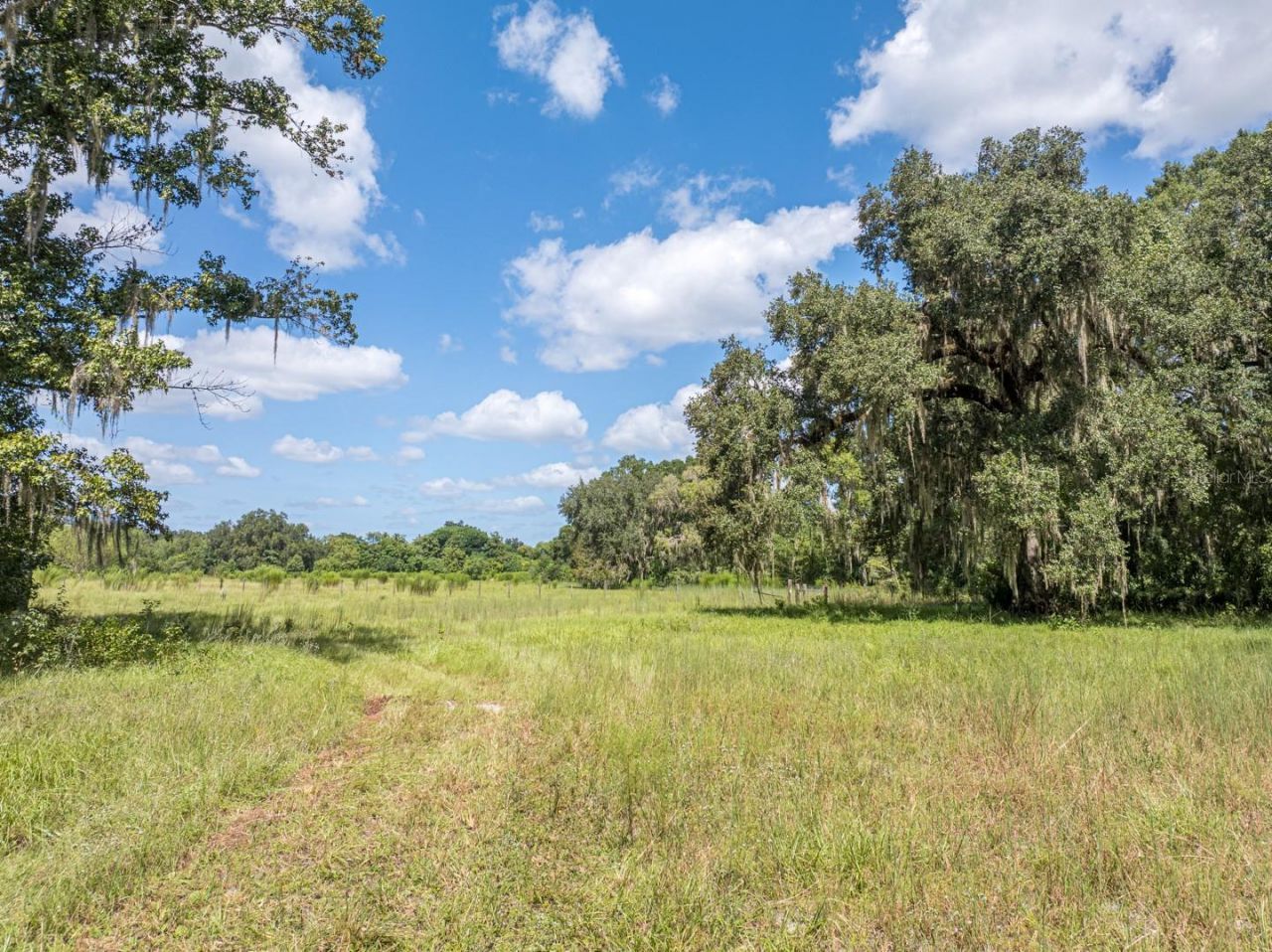 6177 County Rd 625, Bushnell, FL 33513 Photo