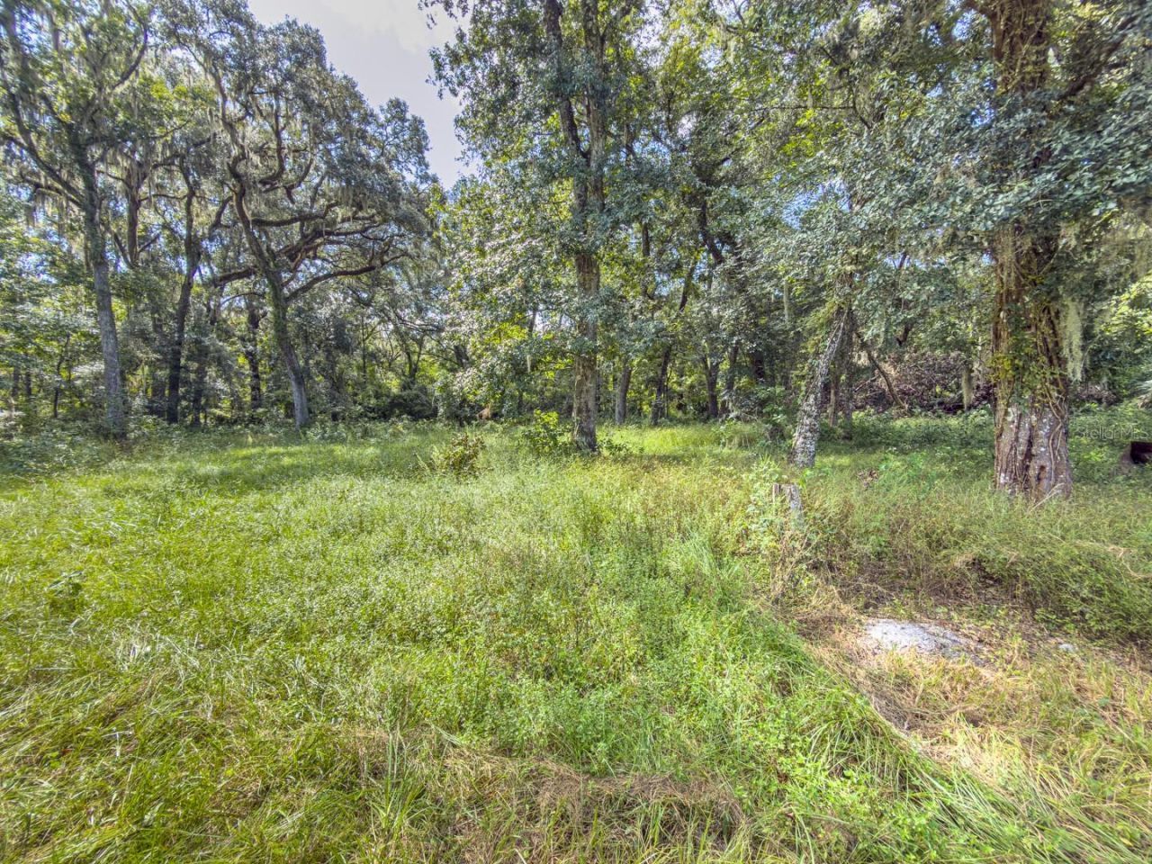 6177 County Rd 625, Bushnell, FL 33513 Photo