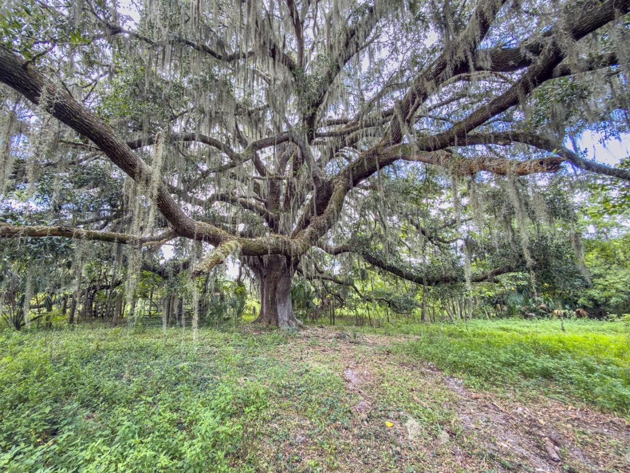 6177 County Rd 625, Bushnell, FL 33513 Photo