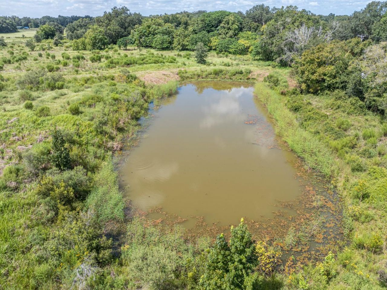 6177 County Rd 625, Bushnell, FL 33513 Photo