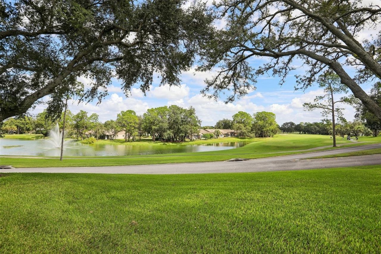 6615 Inverary Ln , Spring Hill, FL 34606 Photo